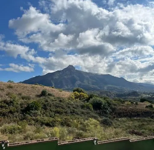 Boutique 365 - Marbella