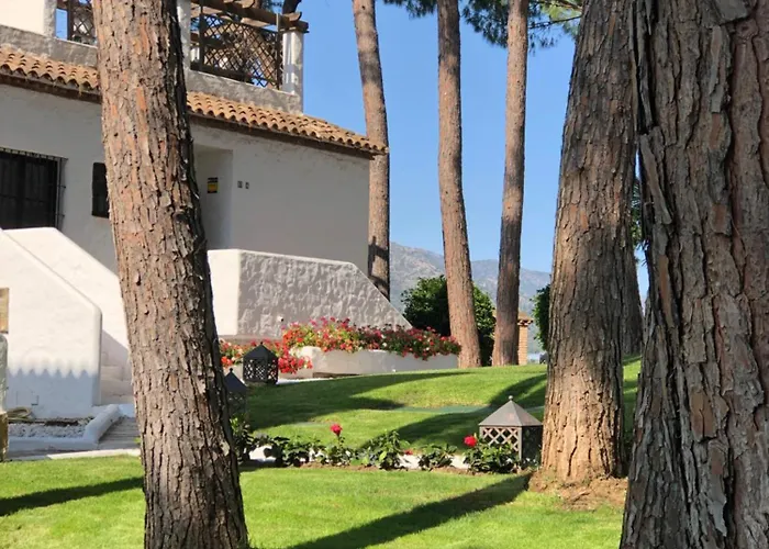 Apartament Boutique 365 -