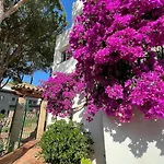 Boutique 365 -